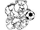  Soccer Bear M B 1 Decal