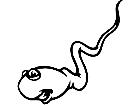  Sperm Decal