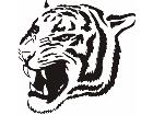  Tiger Head 1 4 7 Decal