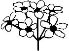  Trees Flowers Apple Blossoms P A 1 Decal