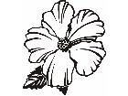  Trees Flowers Hibiscus P A 1 Decal