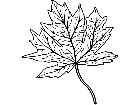  Trees Flowers Maple Leaf T G P A 1 Decal