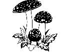  Trees Flowers Mushrooms 0 2 T G P A 1 Decal