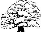  Trees Common Oak 1 5 8 V A 1 Decal