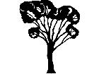  Trees Elm 1 5 7 V A 1 Decal