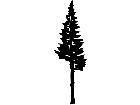  Trees Fir 1 5 7 V A 1 Decal