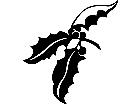  Trees Holly 1 5 7 V A 1 Decal