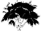  Trees Palo Verde 1 5 8 V A 1 Decal