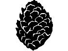  Trees Pine Cone 1 5 7 V A 1 Decal