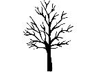  Trees Sugar Maple 1 5 7 V A 1 Decal