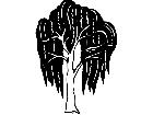  Trees Willow 1 5 7 V A 1 Decal