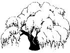  Trees Willow 1 5 8 V A 1 Decal