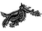  Trees Yew Branch 1 5 7 V A 1 Decal
