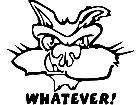 Whatever Cat Decal