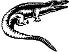  Wild Animals Alligator 0 1 P A 1 Decal