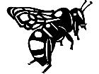  Wild Animals Bee P A 1 Decal