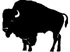  Wild Animals Bison P A 1 Decal