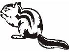  Wild Animals Chipmunk P A 1 Decal