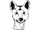  Wild Animals Dingo D H P A 1 Decal