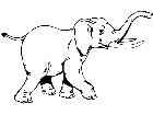  Wild Animals Elephant D H P A 1 Decal