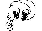  Wild Animals Elephant D R P A 1 Decal