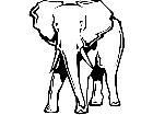 Wild Animals Elephant P A 1 Decal