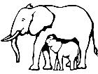  Wild Animals Elephants P A 1 Decal