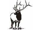  Wild Animals Elk P A 1 Decal
