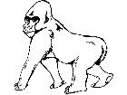  Wild Animals Gorilla 0 2 D H P A 1 Decal