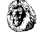  Wild Animals Lion 0 2 D R P A 1 Decal