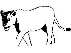  Wild Animals Lioness P A 1 Decal