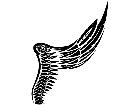  Wings 0 0 0 2 Decal