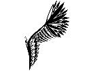  Wings 0 0 0 5 Decal