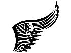  Wings 0 0 3 6 Decal