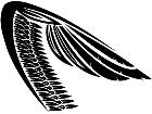  Wings 0 0 3 9 Decal