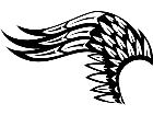  Wings 0 0 4 2 Decal