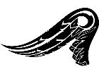  Wings 0 0 4 3 Decal