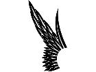  Wings 0 0 7 0 Decal