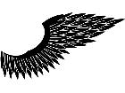  Wings 0 0 7 2 Decal