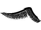  Wings 0 0 7 3 Decal