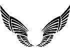  Wings 0 0 7 6 Decal