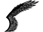  Wings 0 1 0 1 Decal