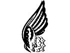  Wings 0 1 1 9 Decal