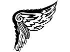  Wings 0 1 2 2 Decal