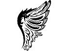  Wings 0 1 2 6 Decal