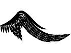  Wings 0 1 3 8 Decal