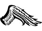  Wings 0 1 4 7 Decal