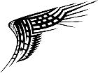  Wings 0 1 6 0 Decal