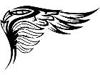  Wings 0 1 6 2 Decal