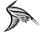  Wings 0 1 7 1 Decal